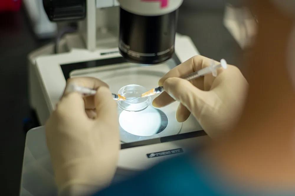 2023试管收费价目表石家庄