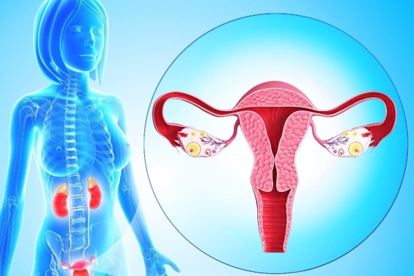 2023年备孕最佳月份