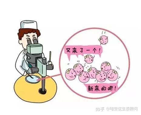 2023年最旺女孩名字