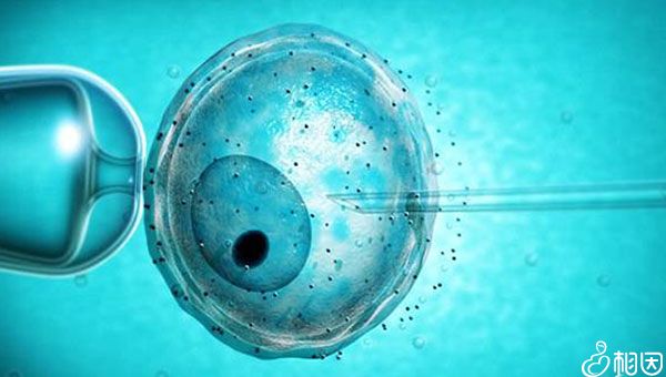 2023新生兔宝宝出生文案