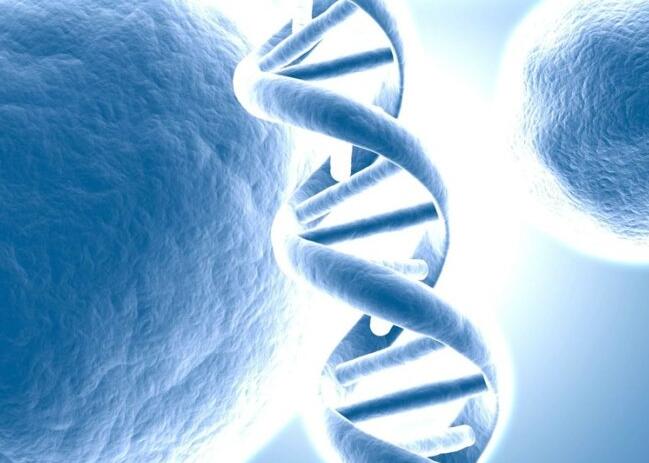 2023新生宝宝取名