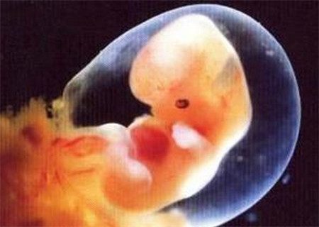 1秒变大肚子怀孕