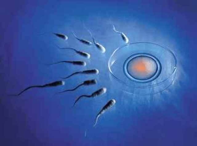 17岁生小孩顺产几率