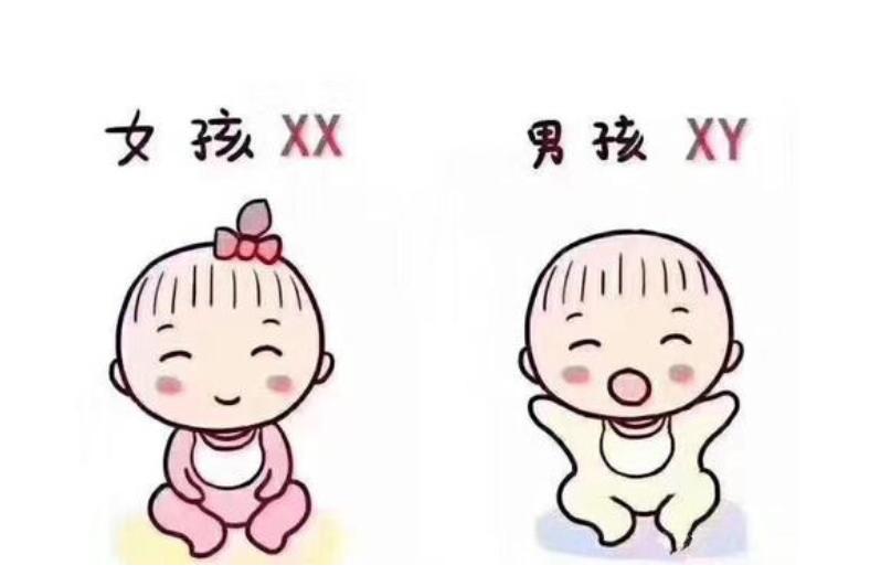 南京试管婴儿