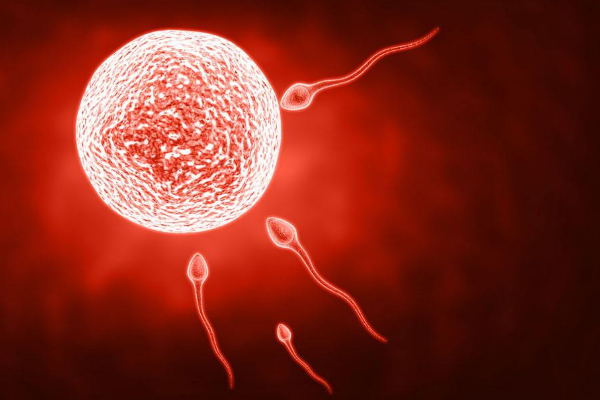 兰州供卵试管多少钱