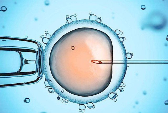 公立医院供卵最快的医院