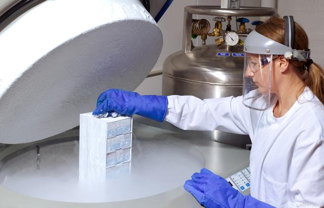 六盘水捐卵代怀生子